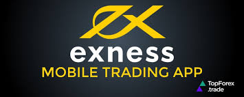 Comprehensive Guide to Exness Egypt Trading Opportunities and Insights Comprehensive Guide to Exness Egypt Trading Opportunities and Insights