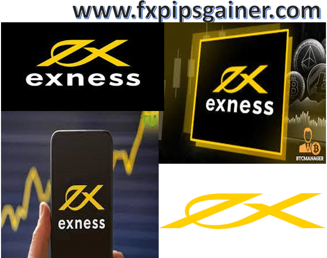 Exploring Exness Forex ECN An In-Depth Review Exploring Exness Forex ECN An In-Depth Review